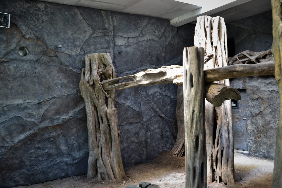 Dekoracja skalna na wybiegu panterów w ogrodzie zoologicznym — sztuczne skały i jaskinia