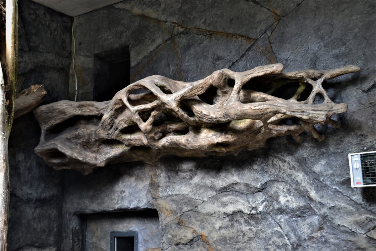 Jaskinia z sztucznych skał na wybiegu panterów — schronienie dla zwierząt w ZOO