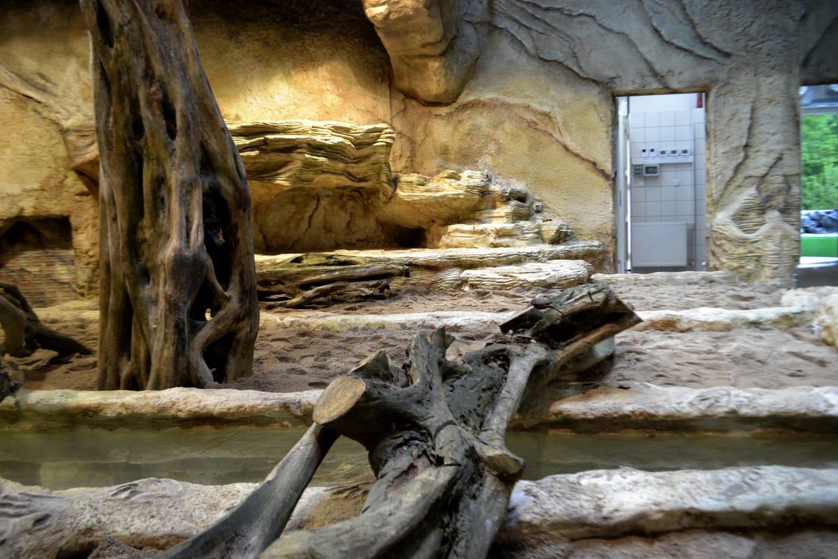 Sztuczne skały na wybiegu waranów w ogrodzie zoologicznym — biotop z betonu architektonicznego