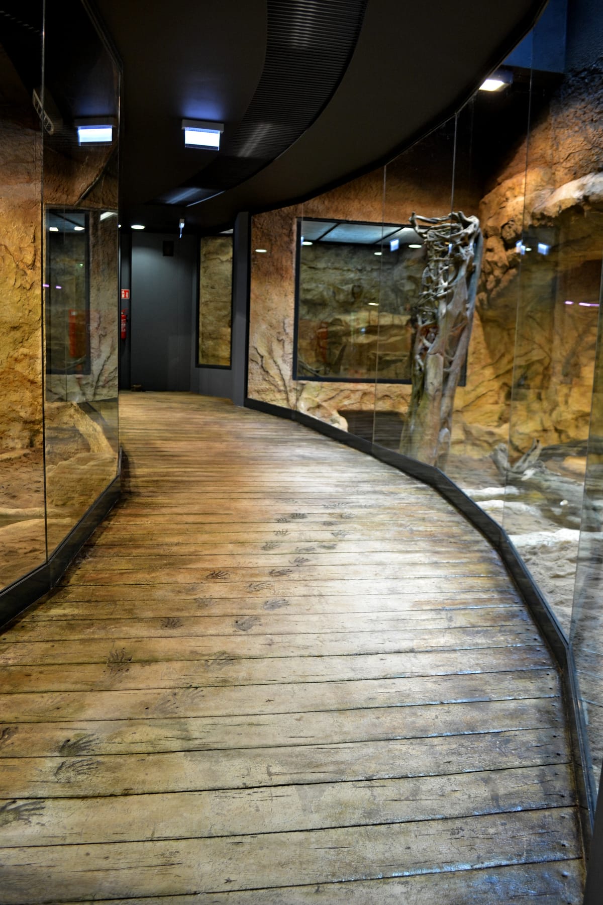 Detal sztucznych skał na wybiegu waranów — realistyczna faktura kamienia