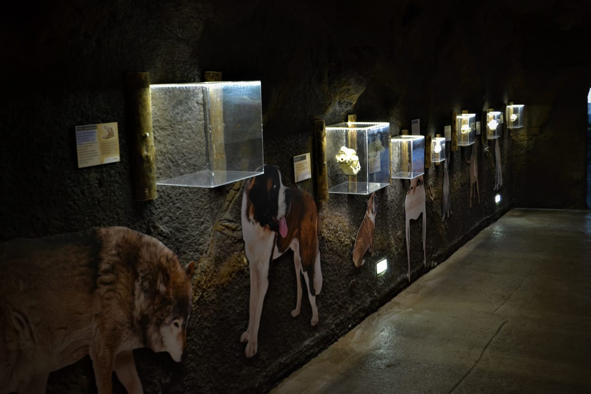 Wilcza ostoja — kompletna scenografia wybiegu z jaskiniami i sztucznymi skałami