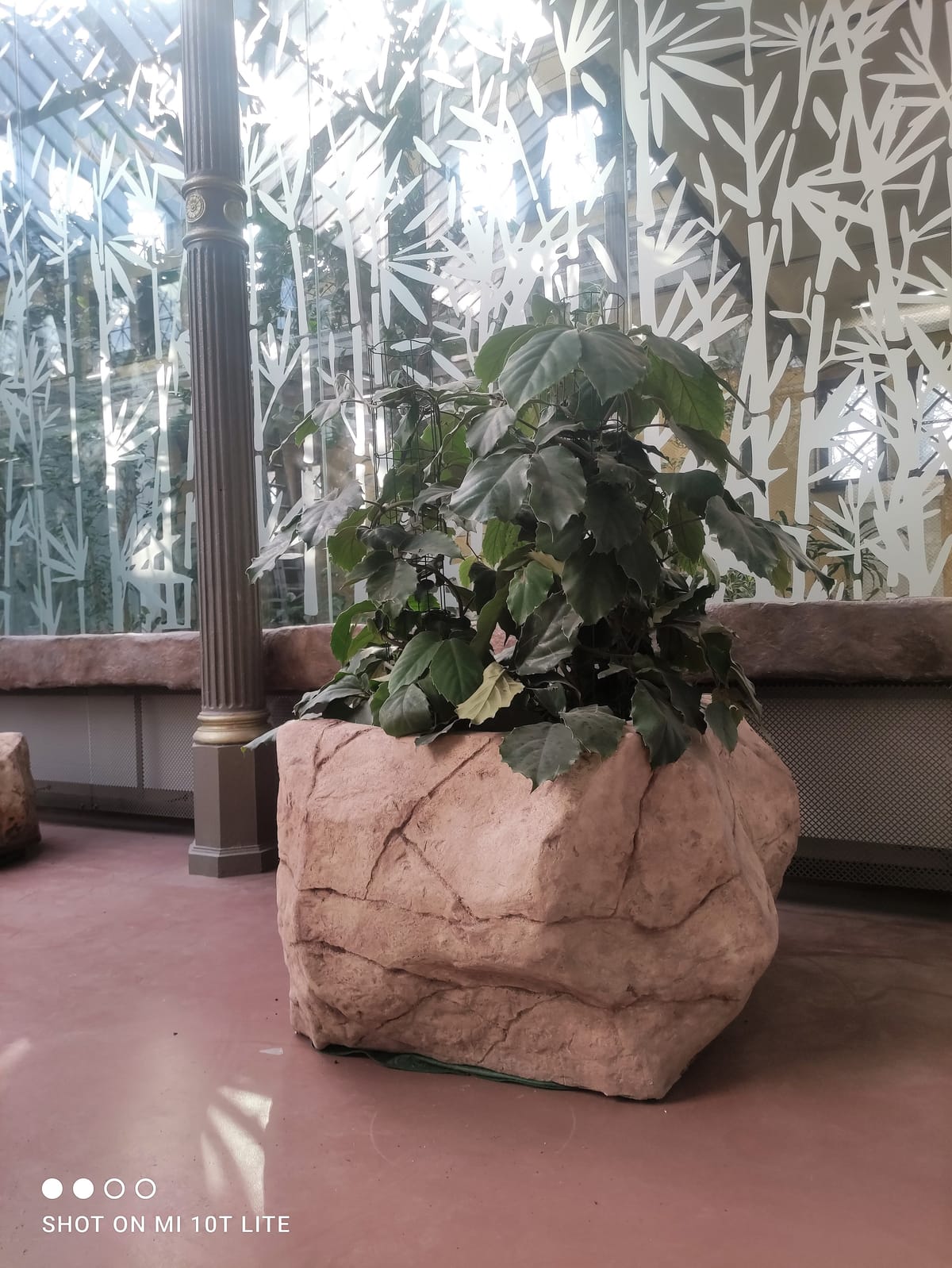 Donica skalna z betonu architektonicznego — faktura naturalnej skały, nasadzenie tropikalne