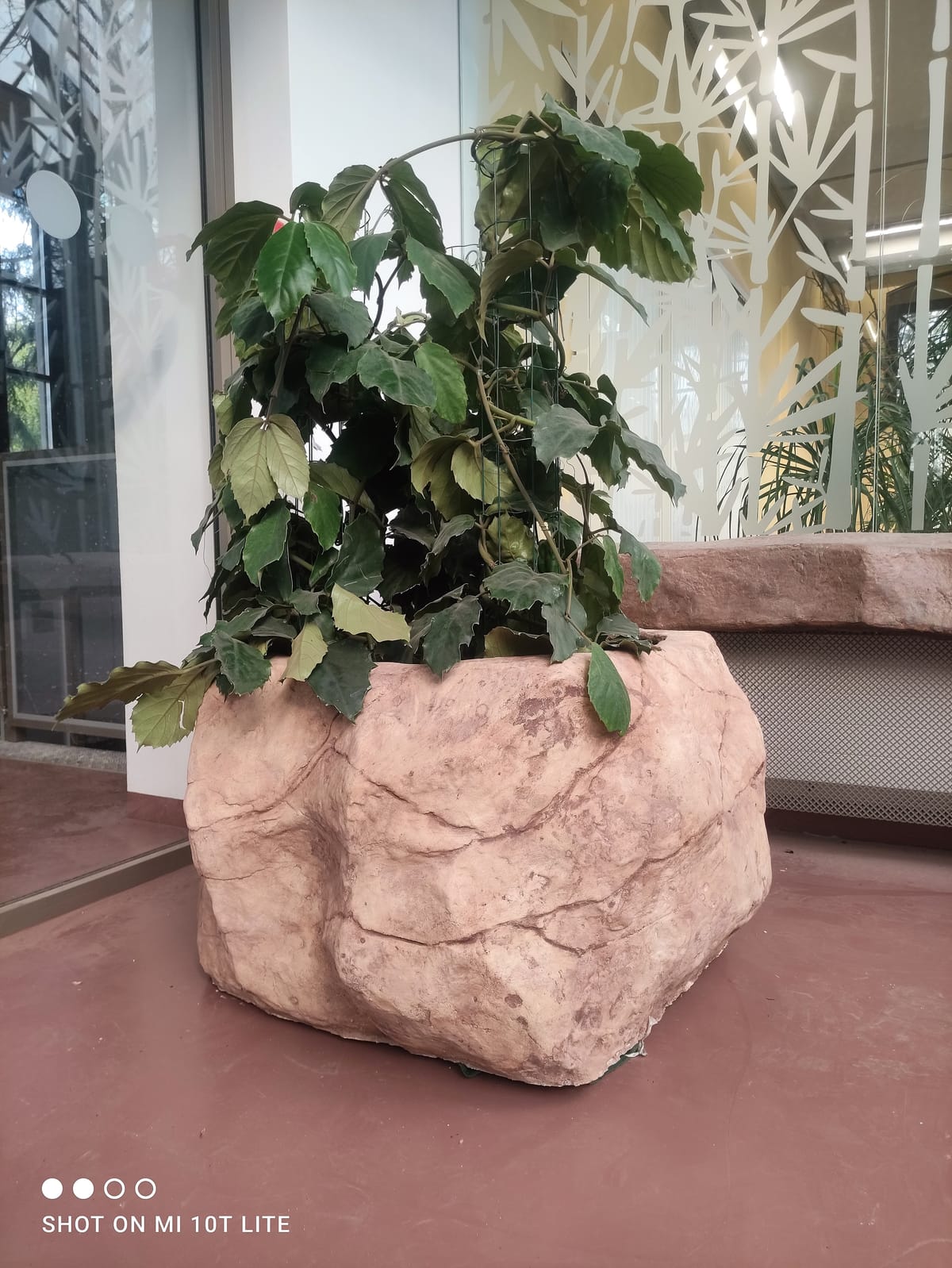 Donice skalne w różnych formatach — wolnostojące elementy imitujące naturalny kamień