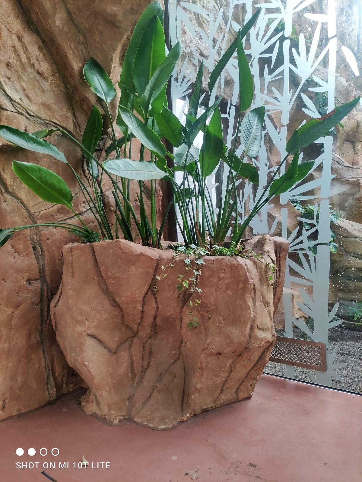 Donica skalna dużego formatu — umożliwia nasadzenie drzew i krzewów ozdobnych