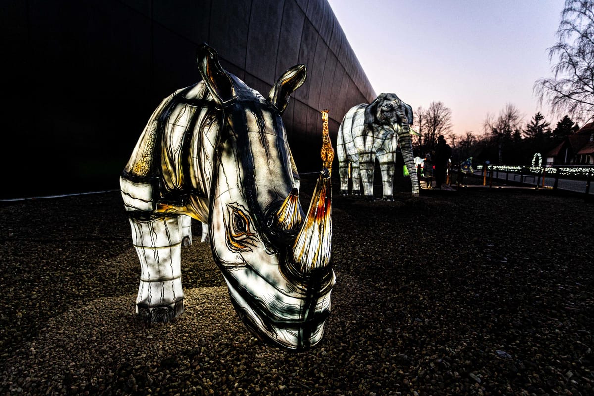 Iluminacje świetlne nocą — spektakularne podświetlane figury w ogrodzie zoologicznym