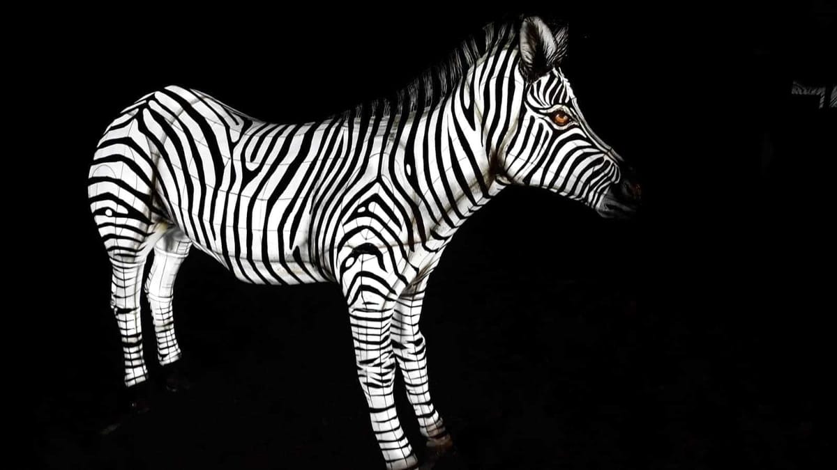 Podświetlane figury zwierząt — iluminacje świetlne na festiwalu w ogrodzie zoologicznym