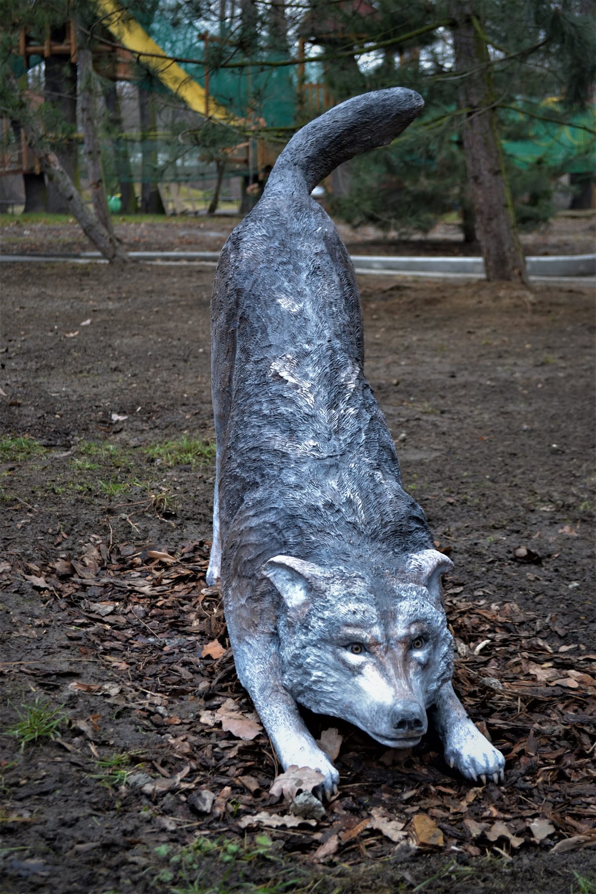 Wataha wilków — grupa rzeźb z betonu w naturalnych pozach, wybiegu w ZOO