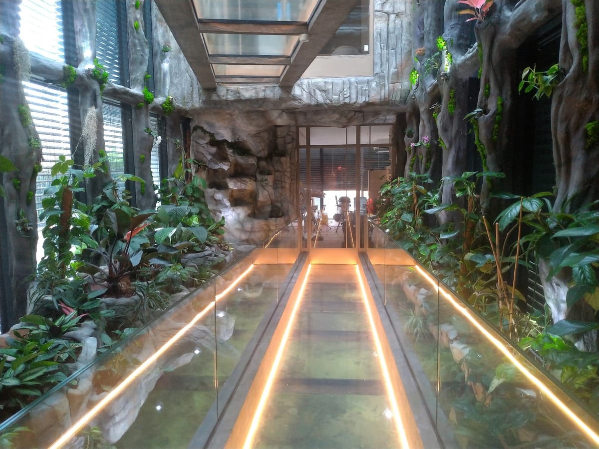 Sztuczne skały — realizacja dekoracji skalnej w obiekcie publicznym