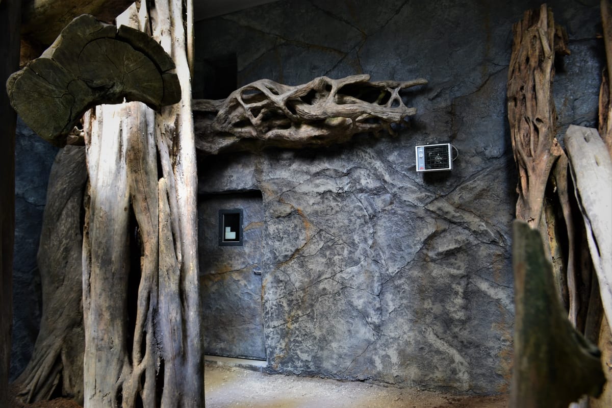Sztuczne skały tworzące naturalistyczną jaskinię na wybiegu w ogrodzie zoologicznym