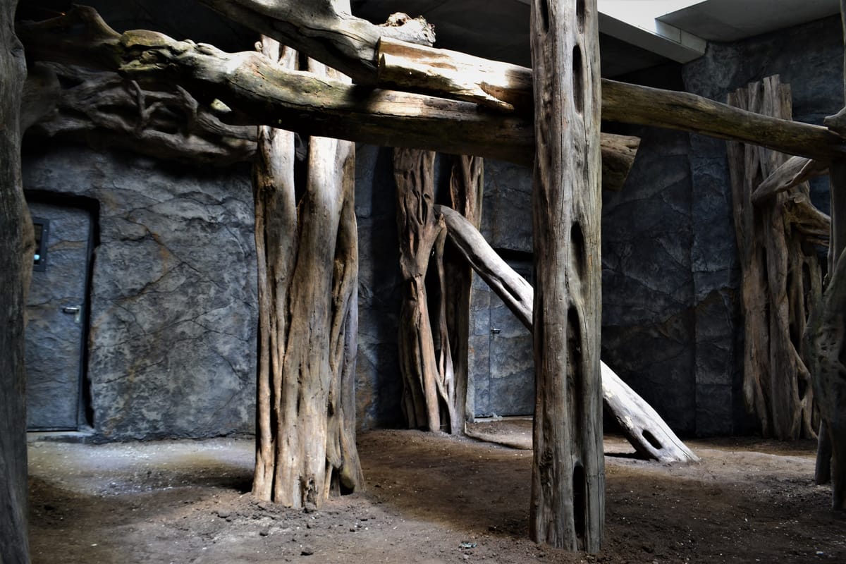 Sztuczne skały na wybiegu panterów — jaskinia ze sztucznego kamienia