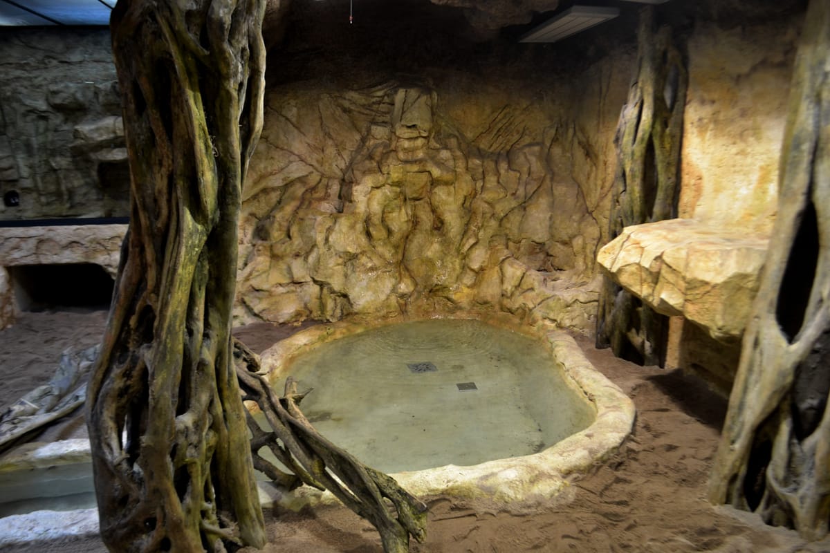 Sztuczne skały na wybiegu waranów w ogrodzie zoologicznym — realistyczna imitacja piaskowca