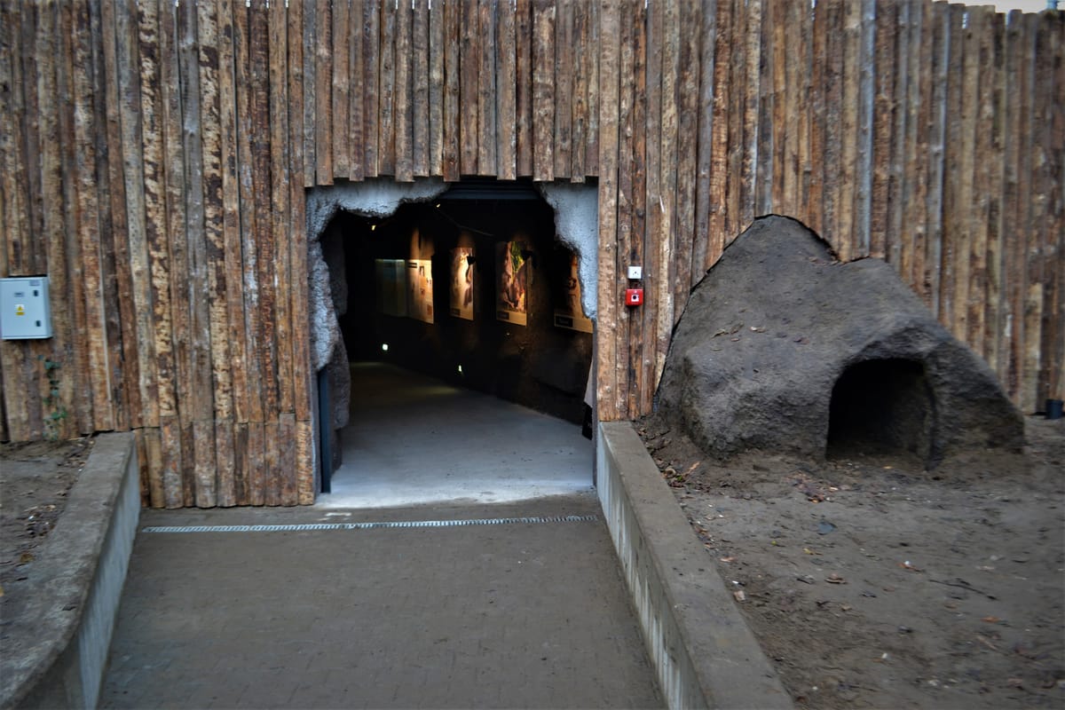 Sztuczne skały w wilczej ostoi — naturalistyczna sceneria z betonu architektonicznego